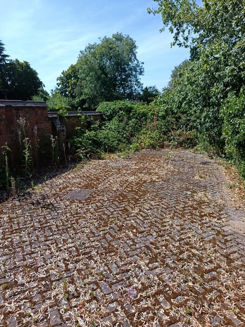 Before: a worn, uneven driveway in Derby ready to be replaced