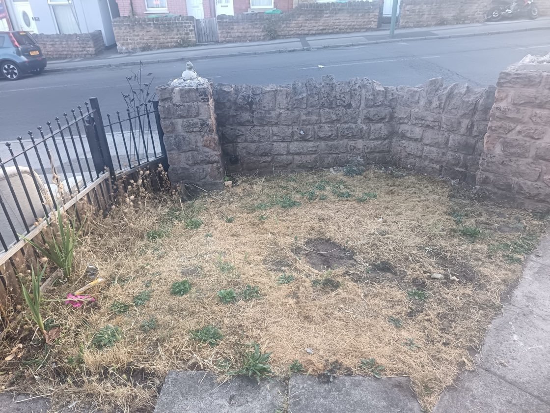 Before: a patchy, dying lawn with bare and yellowed grass in Loughborough